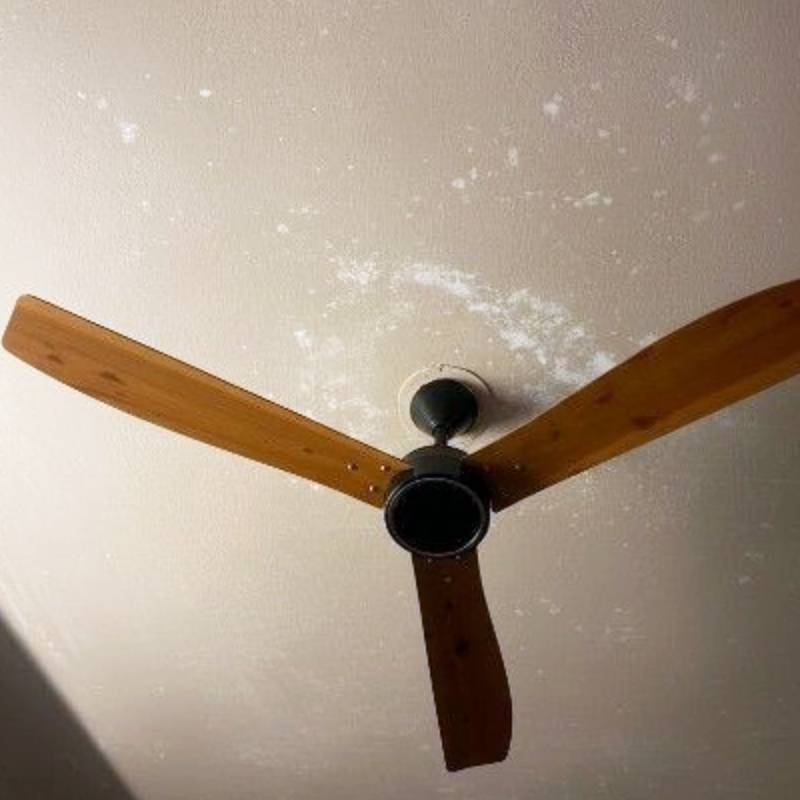 Close shot of Kühl Arctis A8 BLDC ceiling fan installed