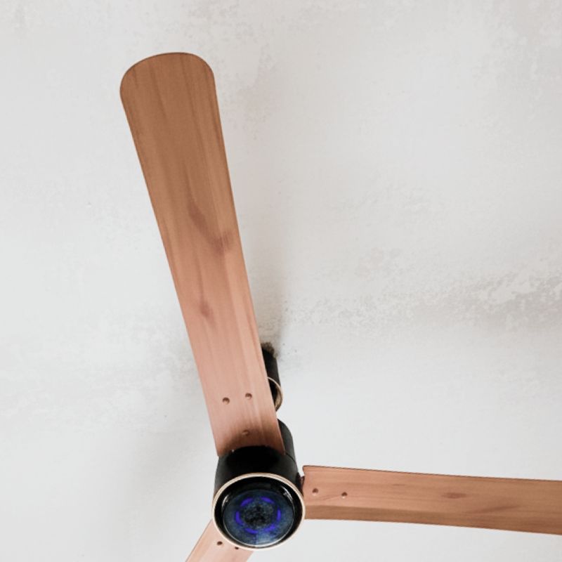 Close view of V-Guard Insight-G Premium BLDC